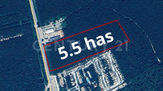 1 1, Tulum, Quintana Roo 77780, Mexico