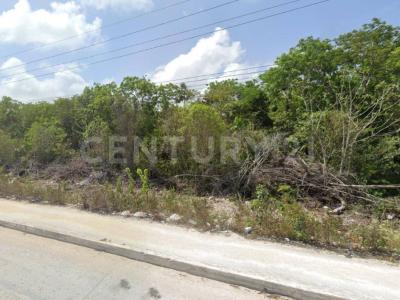 Carretera Federal Tulum Playa del Carmen S/N, Tulum, Quintana Roo 77780, México