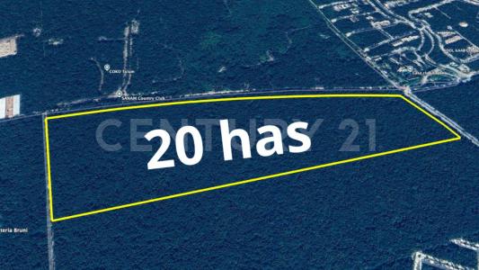 Vialidad en proyecto SN, Tulum, Quintana Roo 77760, Mexico