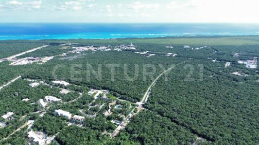 Vialidad en proyecto SN, Tulum, Quintana Roo 77760, Mexico