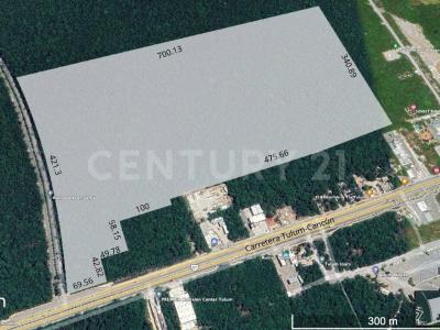 Carretera Cancún-Chetumal Km 230, Tulum, Quintana Roo 77760, Mexico