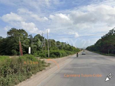 Carretera Cancún-Chetumal Km 230, Tulum, Quintana Roo 77760, Mexico