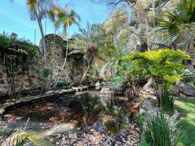 Cuernavaca, Morelos 62130, México