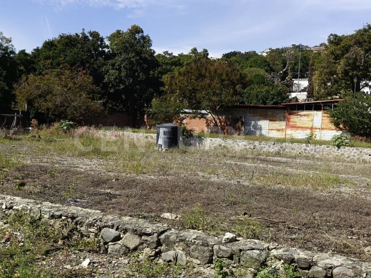 san pedro 0, Emiliano Zapata, Morelos 62760, Mexico