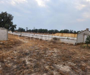 Zumpango, Meksyk (stan) 55600, Meksyk