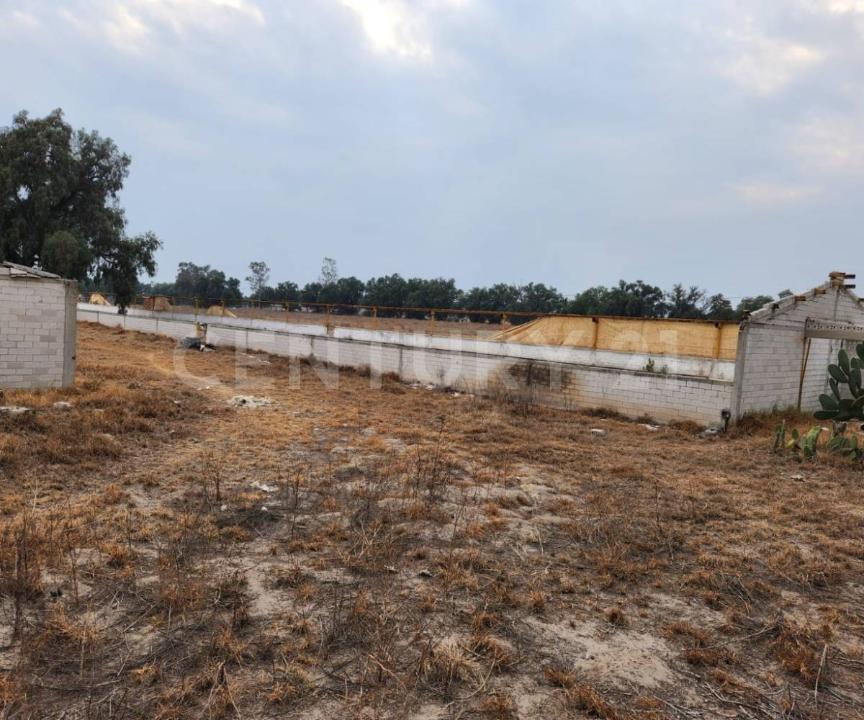 Zumpango, ولاية مكسيكو 55600, المكسيك