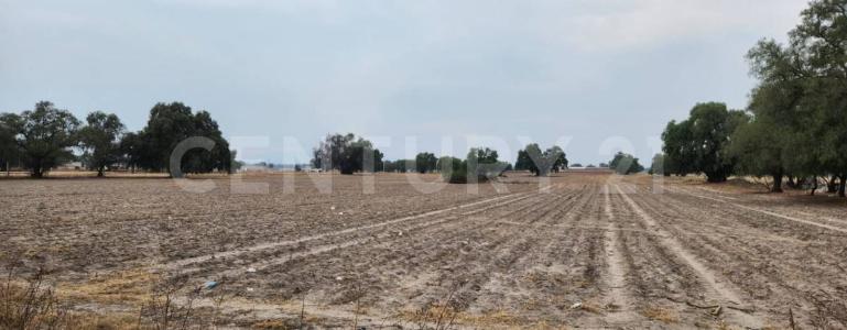 Zumpango, ولاية مكسيكو 55600, المكسيك