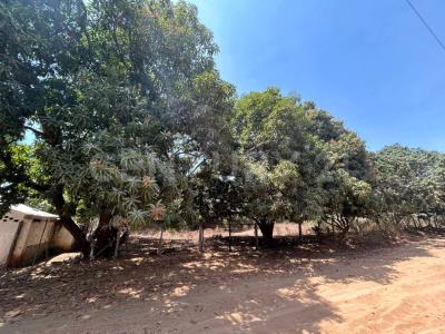 Crotos Lote 3, Puerto Escondido, 瓦哈卡 71980, 墨西哥