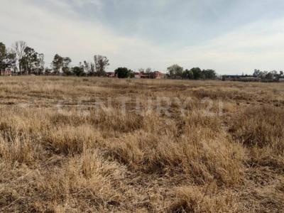 Calle Publica S/N, Zumpango, Estado De México 55635, Mexico