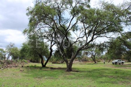 PISCIS LOTE 4, Ixtlahuacan De Los Membrillos, Jalisco 45860, Mexico