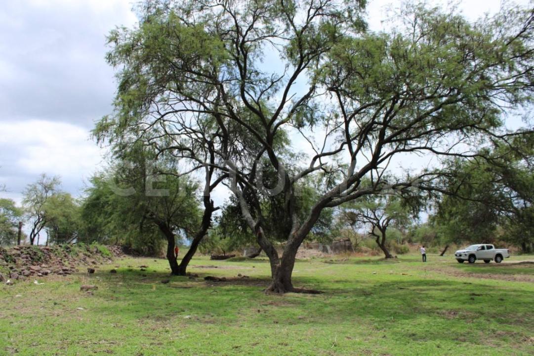 PISCIS LOTE 4, Ixtlahuacan De Los Membrillos, 哈利斯科 45860, 墨西哥