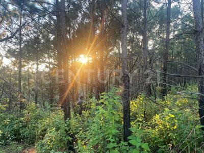 FRACCIONAMIENTO LAS CUEVAS HECTAREA 63, Manzanilla De La Paz, Jalisco 49460, Mexico