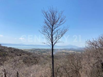 Sin calle Sin número, Chapala, Jalisco 45940, Mexico