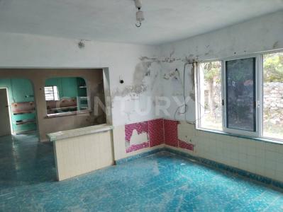 14 120, Río Lagartos, Yucatan 97720, Mexique