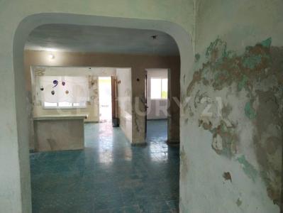 14 120, Río Lagartos, Yucatan 97720, Mexique