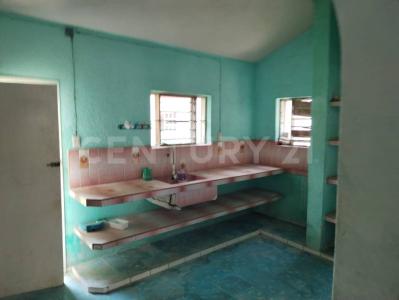 14 120, Río Lagartos, Yucatan 97720, Mexique