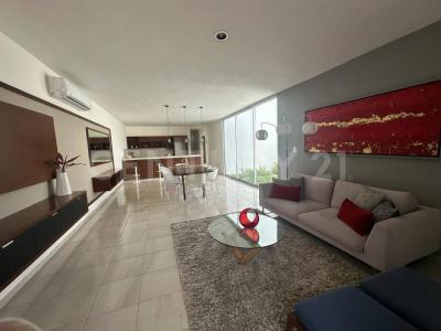 69 carrretera Dzitya 0, Mérida, ولاية يوكاتان 97302, المكسيك