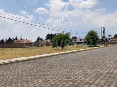 Calzada del Virrey Lote 2 Mza 7, Metepec, Stato Del Messico 52178, Messico