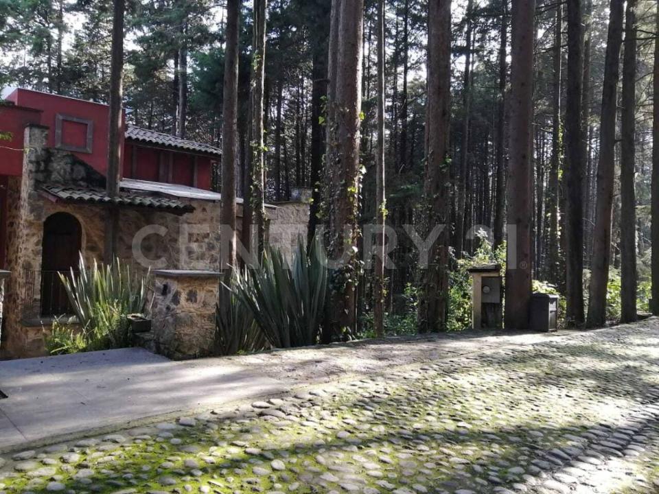 Av Cañada, Fraccionamiento Hacienda San Martin 3, Ocoyoacac, Estado De México 52740, México