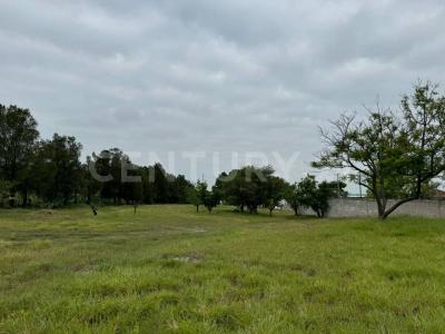 Irapuato, Guanajuato 36815, Mexique