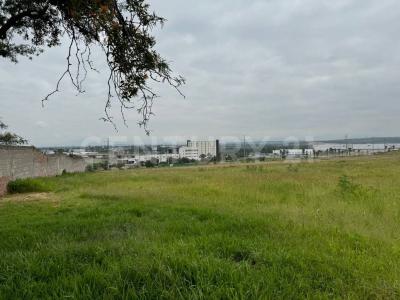 Irapuato, Guanajuato 36815, Mexique