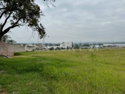 Irapuato, Guanajuato 36815, Mexique