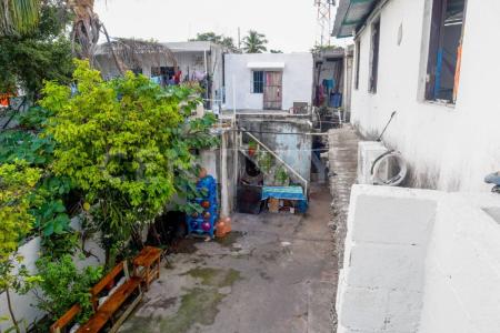 66 18, Solidaridad / Riviera Maya, Quintana Roo 77728, Mexico