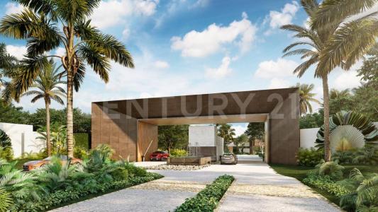 PUNTA PARAISO 914, Solidaridad / Riviera Maya, Quintana Roo 77719, Mexico