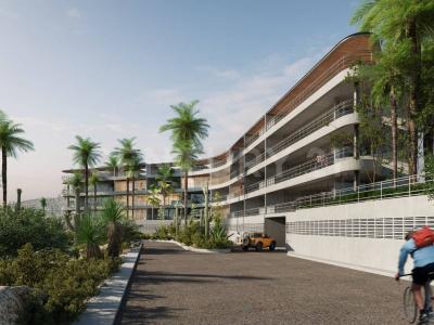 ciruelos 46, Los Cabos, Baja California Sur 23454, Mexico