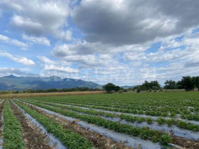 Privada de las Tareas 12, Nazareno Etla, 瓦哈卡 68240, 墨西哥