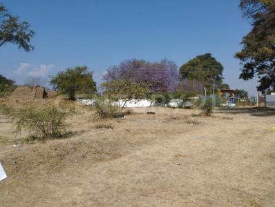 Ex-Hacienda del Carmen S/N, Santa Maria Coyotepec, 瓦哈卡 71254, 墨西哥