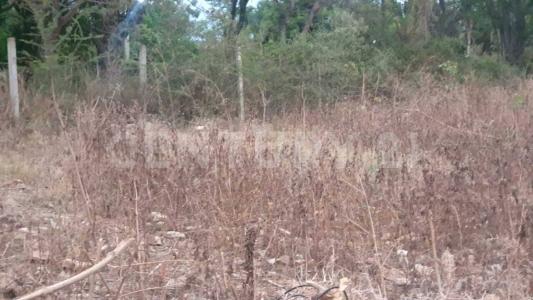 Tlalixtac de Cabrera S/N, Tlalixtac De Cabrera, 瓦哈卡 68270, 墨西哥