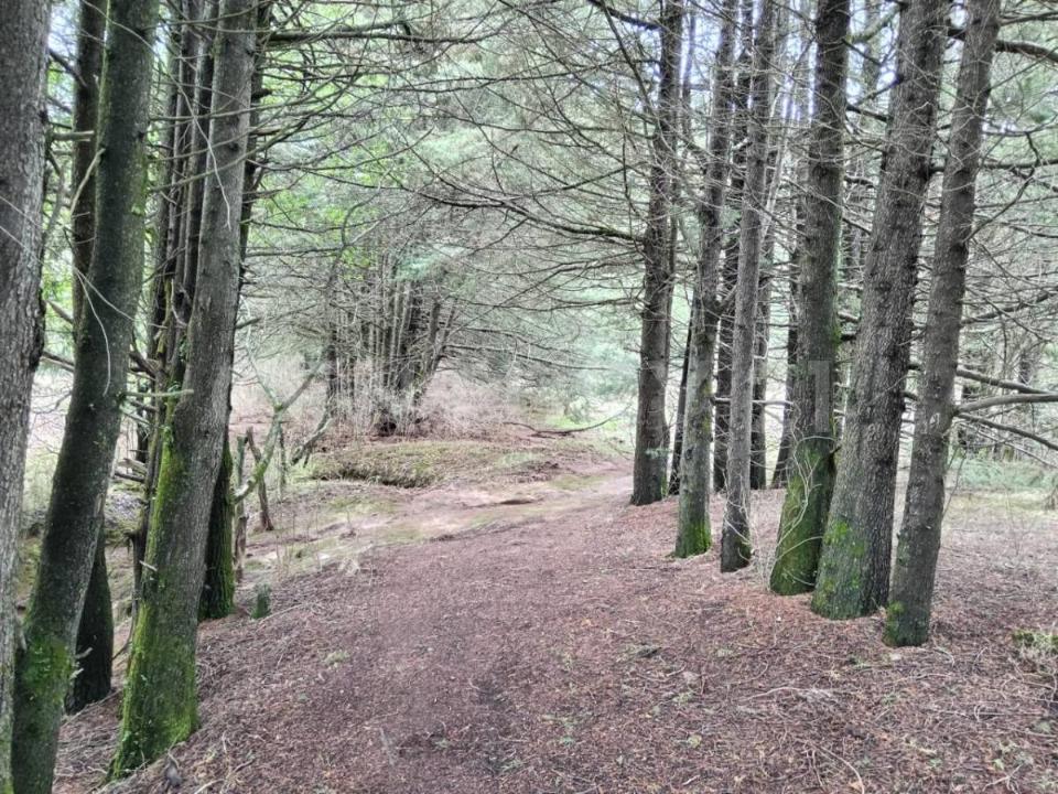 El Tejocote S/N, El Oro, État De Mexico 50627, Mexique
