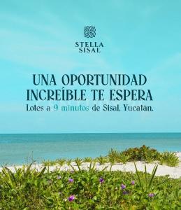 Tablaje Catastral No. 45561, Hunucma, 尤卡坦 97350, 墨西哥