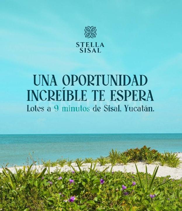 Tablaje Catastral No. 45561, Hunucma, Yucatan 97350, Mexico