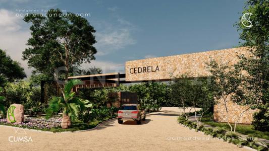 MANZANA 26 LOTE 1-05, Puerto Morelos, Quintana Roo 77580, Mexico