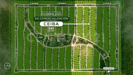 MANZANA 26 LOTE 1-05, Puerto Morelos, キンタナロー 77580, メキシコ