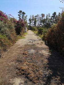 SS114, Augusta, Sicilia 96011, イタリア