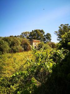 SS114, Augusta, Sicilia 96011, イタリア