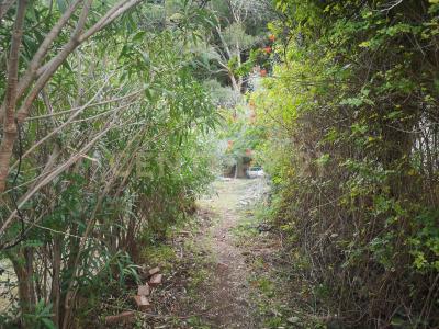 Catarratti, Messina, Sicilia 98152, Italy