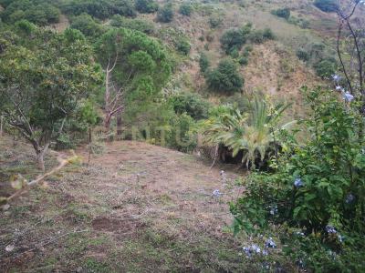 Catarratti, Messina, Sicilia 98152, Italy