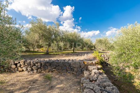 Via Ficarelli, Misterbianco, Sicilia 95045, Italy
