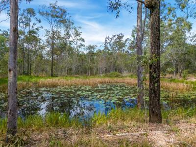 67 Avin Road, Magnolia, QLD 4650, Australia