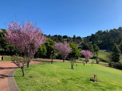 5/150 Abbotsford Road, Picton, NSW 2571, אוסטרליה