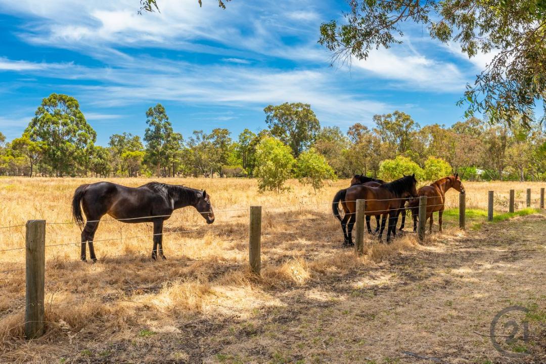 23/154 Utley Road, Serpentine, WA 6125, Australia