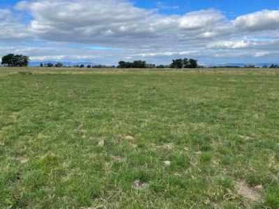 7 Daltons Road, Newbury, Manawatu District 4475, Nuova Zelanda