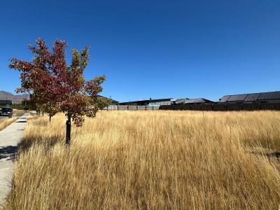 7 Rua Street, Albert Town, Queenstown-Lakes District 9305, New Zealand