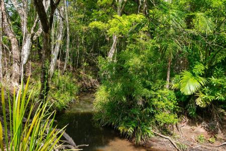 80 Pope Avenue, Burnside, QLD 4560, 오스트레일리아