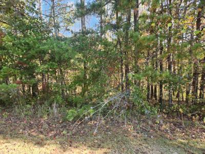 000 Kiser Fork Road, Olive Hill, Kentucky 41164, USA