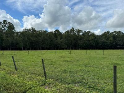 Green Swamp Road, CLERMONT, Florida 34714, USA